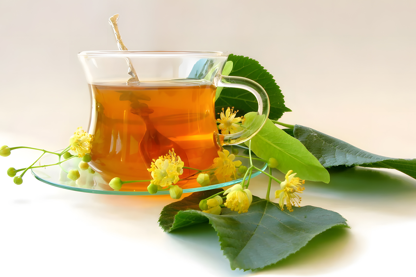 أعشاب (تيلد)